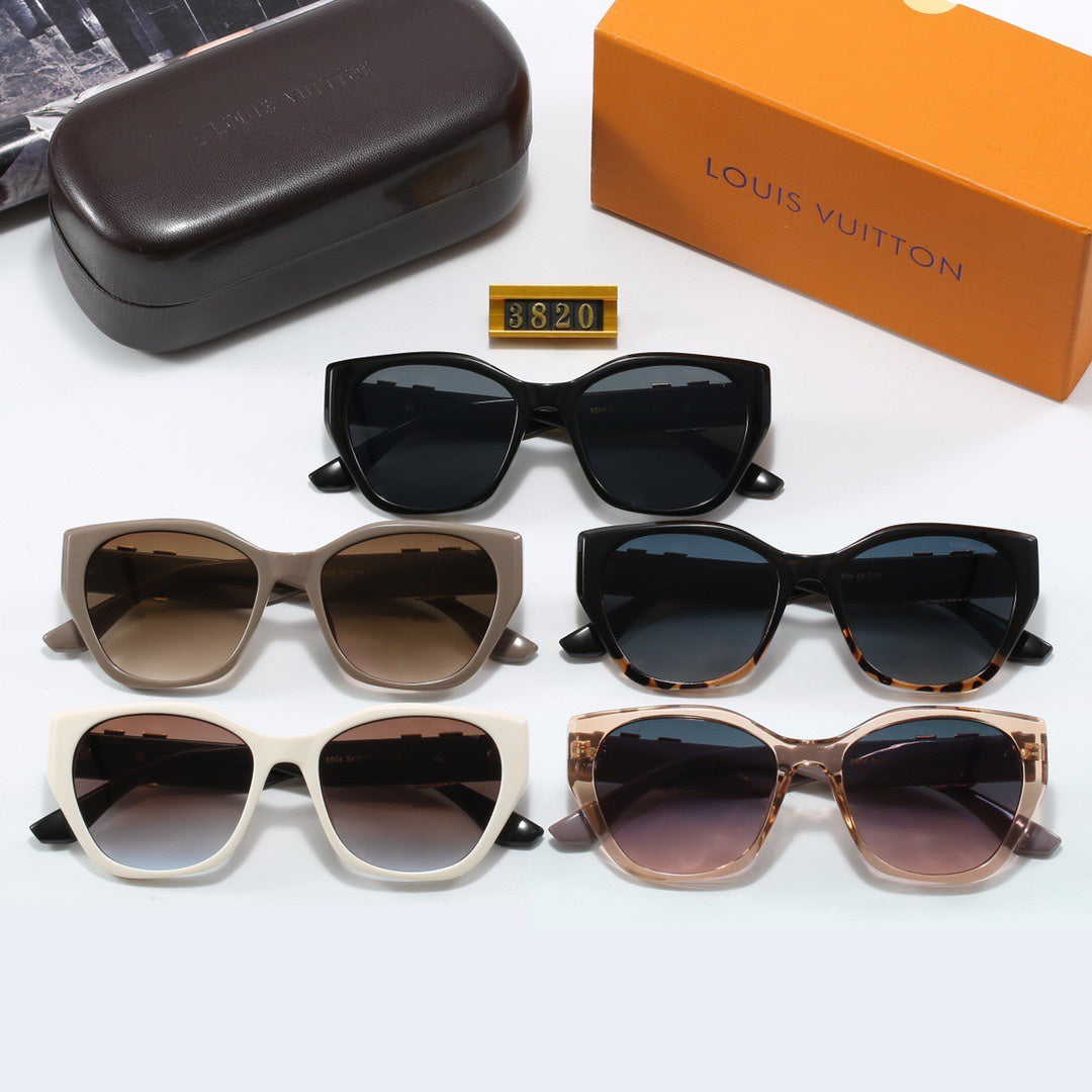 Wayfarer Sunglasses 3820