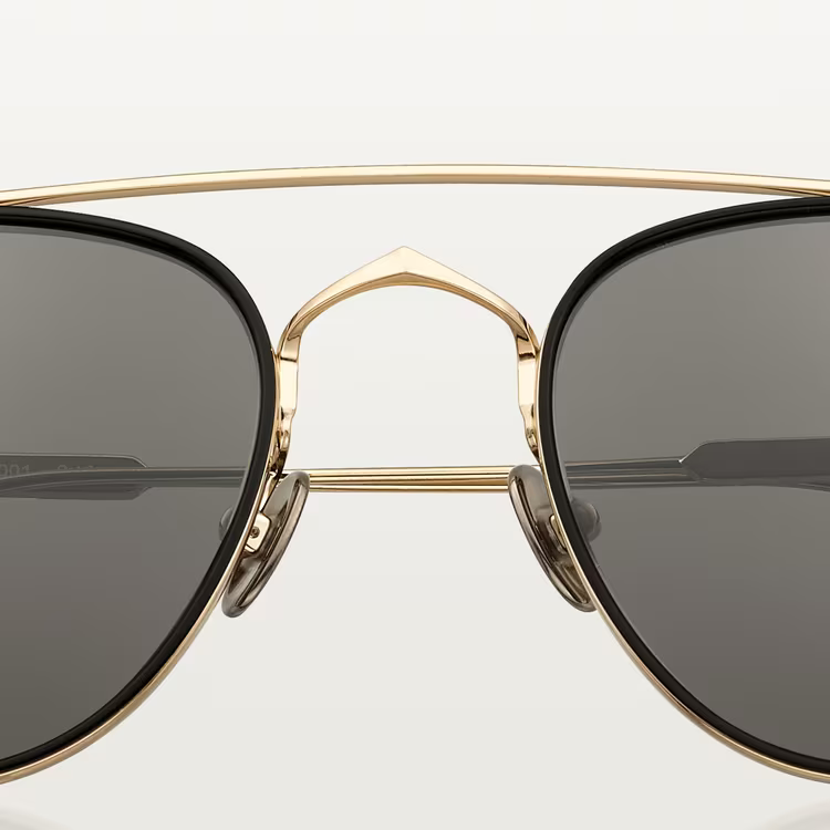 SIGNATURE C DE ca SUNGLASSES