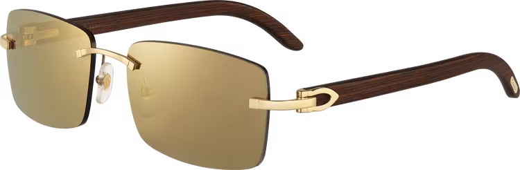 C DE ca SIGNATURE SUNGLASSES