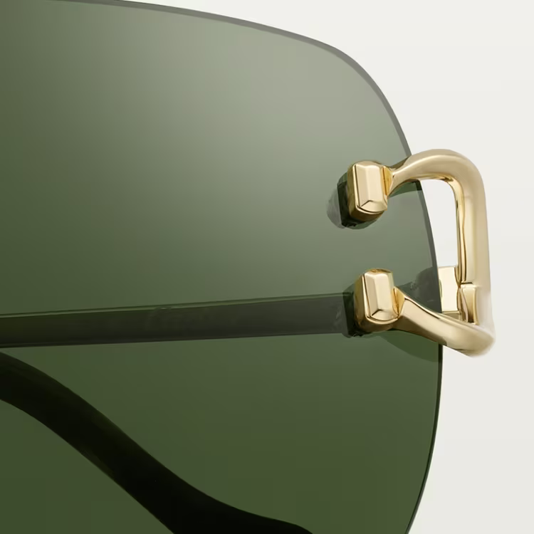 SIGNATURE C DE ca SUNGLASSES